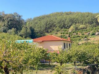Chalet  N/a. Se vende parcela con chalet y piscina