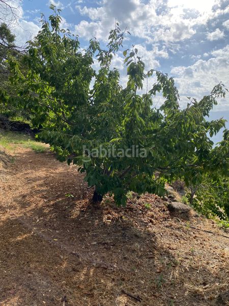 Foto d392b9b4-be93-43b1-b590-7bd8ca11583b. Propriété dans Torno (El)