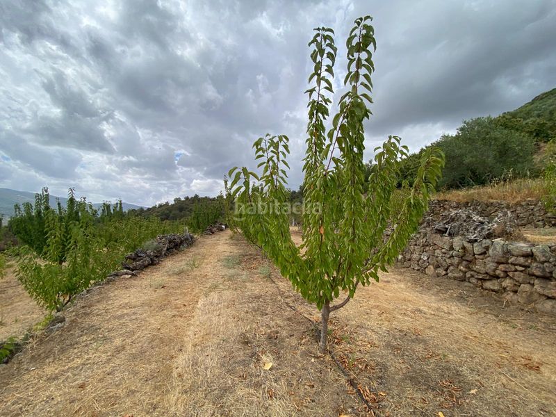 Foto 08f81e0c-f4db-4cec-a668-74a6af3a683c. Propriété dans n/a dans Torno (El)