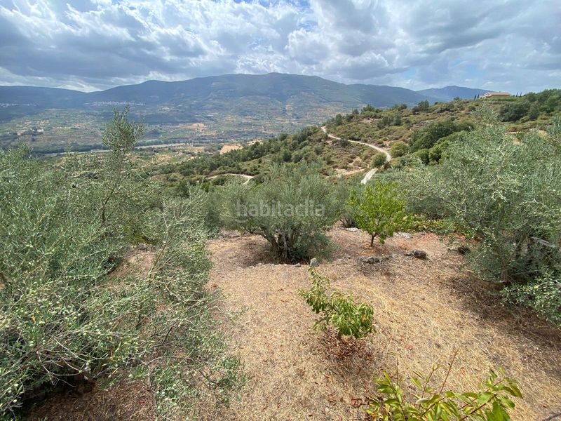 Foto 0ec9d17d-86d0-4ee2-aa0a-8c49a4b9bf2f. Propriété dans n/a dans Torno (El)