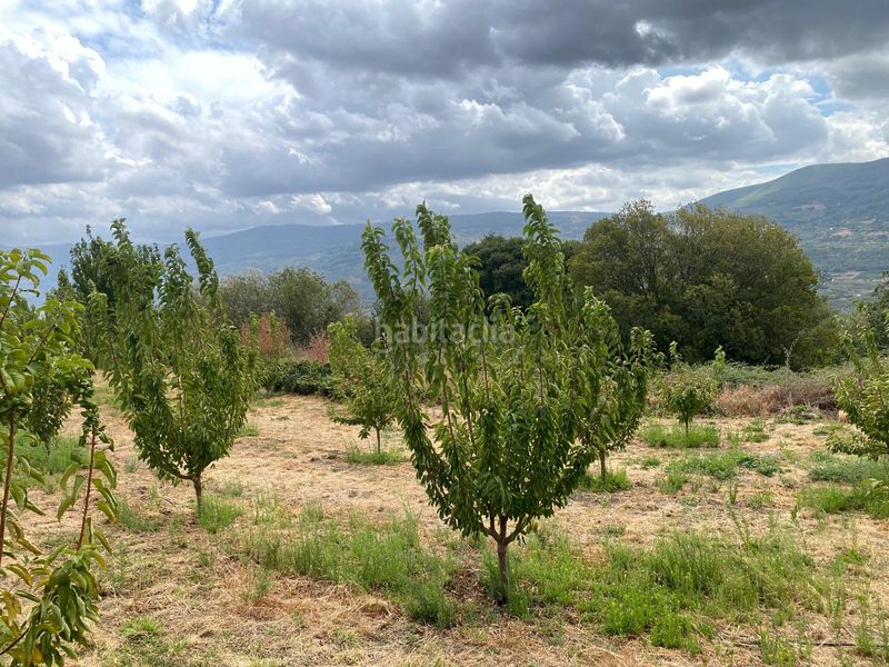 Foto 2a55a787-27c1-4a98-a144-49c73e2e97ff. Propriété dans n/a dans Torno (El)