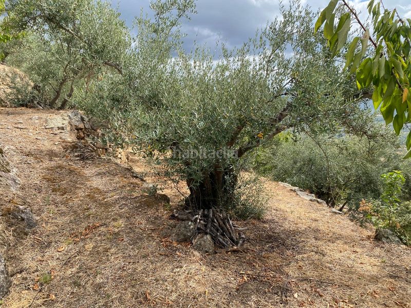 Foto 9c642720-d6f9-4d10-b8b9-45772c379f5f. Propriété dans n/a dans Torno (El)