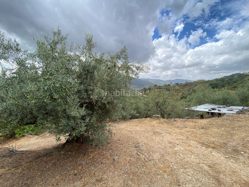 Foto 9ffd2394-0b67-48ac-b44a-cd24a706e843. Propriété dans n/a dans Torno (El)
