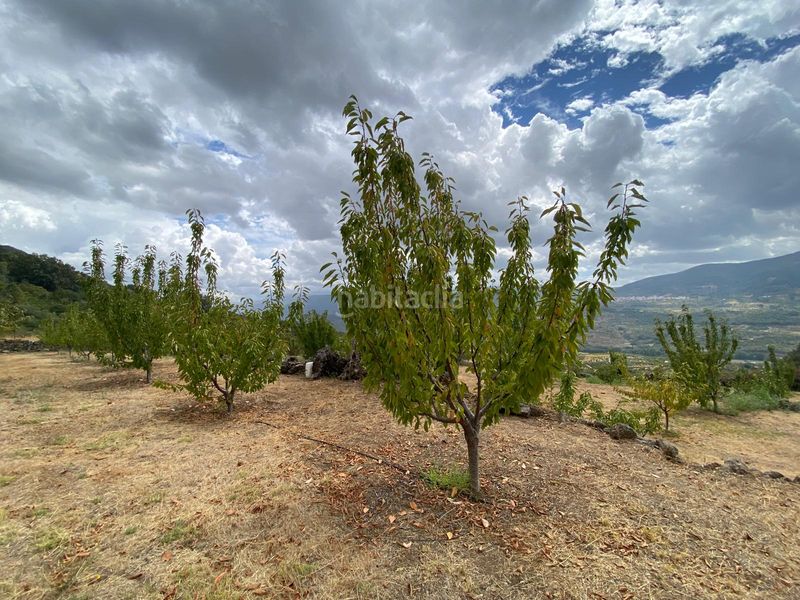 Foto b3d733b9-4003-45d8-9c57-8c398225c141. Propriété dans n/a dans Torno (El)