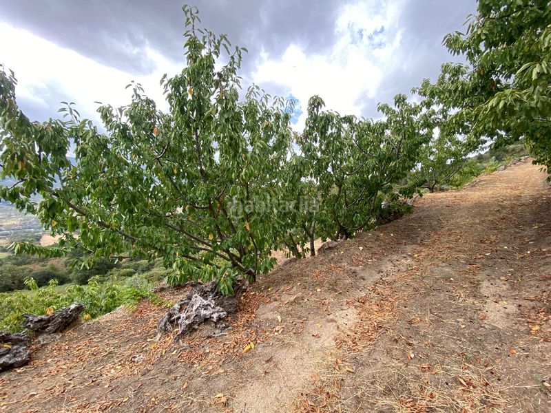 Foto f33ee38e-9f84-4bfd-a682-a05cfc1e8b7c. Propriété dans n/a dans Torno (El)