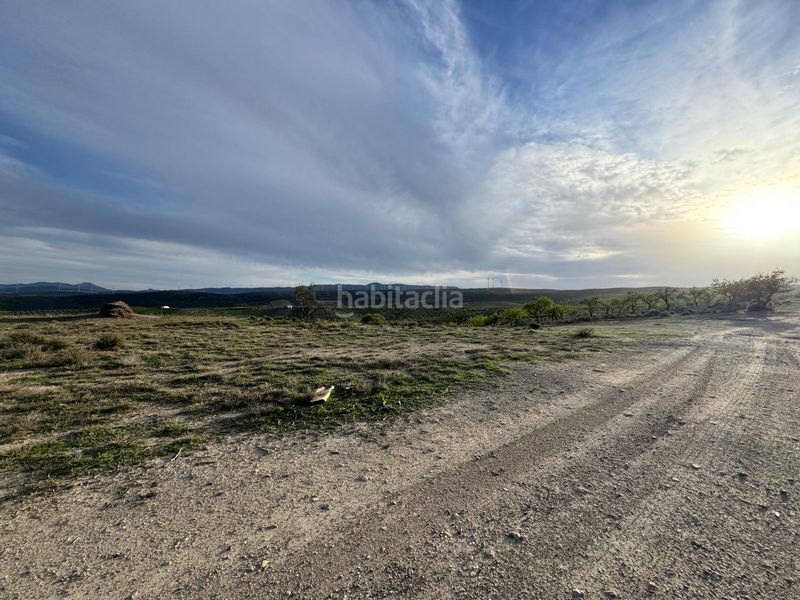 Foto b947afce-4c70-4767-9e53-a3f77fae2031. Finca rústica a Padul