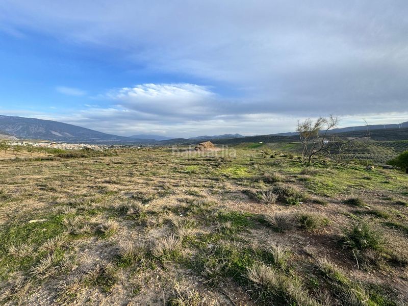 Foto f5cf972b-5a9d-402f-bd6d-43aced244416. Finca rústica a Padul