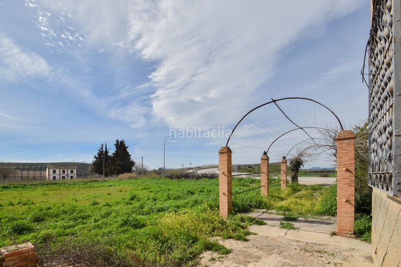Foto c3b2ee02-8644-43a3-b38c-14312843a035. Xalet amb aparcament a Íllora