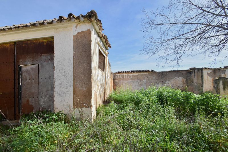 Foto d1aad361-7a0d-48cd-8c21-5843d472f2eb. Xalet amb aparcament a Íllora