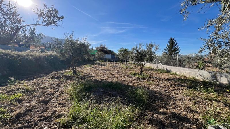 Foto 0d8d797d-2cbf-4dc5-bc37-51b8b58e1de9. Finca rústica a Padul