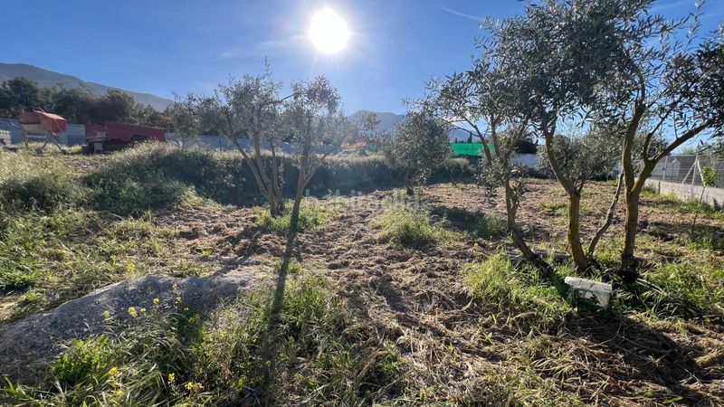 Foto 6646fe1e-f675-438d-b4bc-b696f4ea2022. Finca rústica a Padul