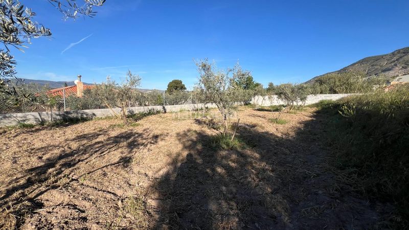 Foto 898fab2c-f9af-4afd-a6b8-2b47edf607a9. Finca rústica a Padul