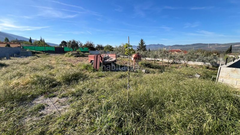 Foto 9e6db614-e074-4f96-ae4e-1e808ba81070. Finca rústica a Padul