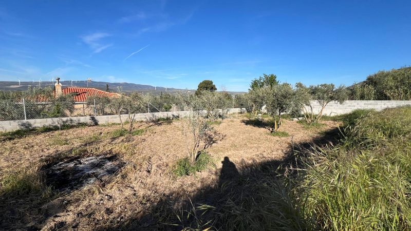 Foto 9f40b4ba-83bb-40a5-861c-b89ce88ff99c. Finca rústica a Padul