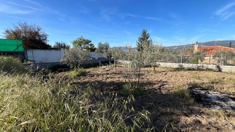 Foto 9fe374ed-f2ca-4308-8207-2cc8fec7d914. Finca rústica a Padul