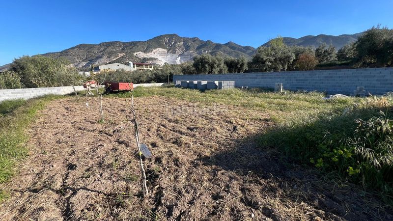 Foto e013ef8e-b8aa-4967-b69c-d4cad8188fca. Finca rústica a Padul