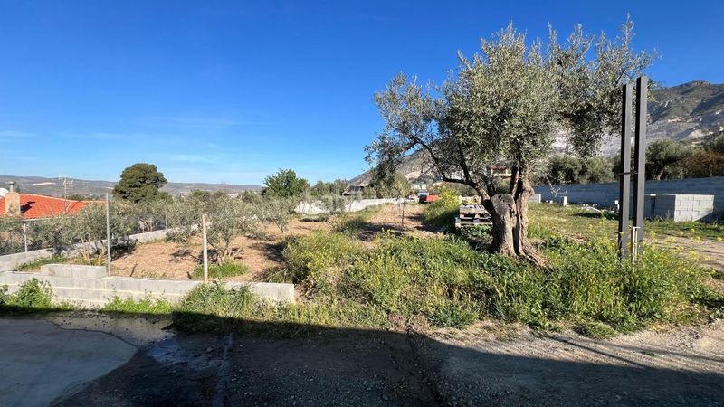 Foto ed44818b-33ae-41a7-85d8-b16af8d26256. Finca rústica a Padul