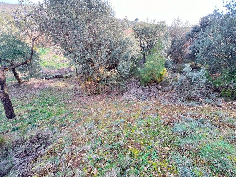 Foto db1c2b26-aaed-4e14-b0a7-b51cdd89b7bd. Casale con riscaldamento in Padul