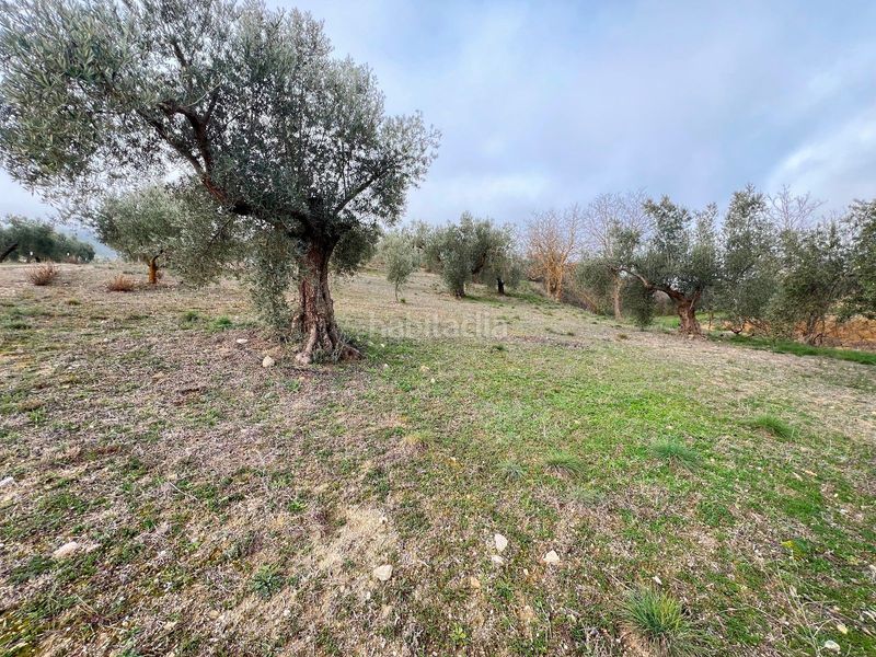 Foto fa23ebe8-ee3d-469c-9264-06e20dd504dc. Casale con riscaldamento in Padul