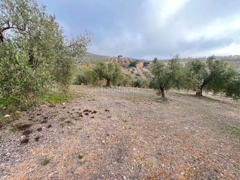 Foto 1c8a6d6d-8aa7-4236-9923-c13e6a8a7d71. Masia amb calefacció a Padul