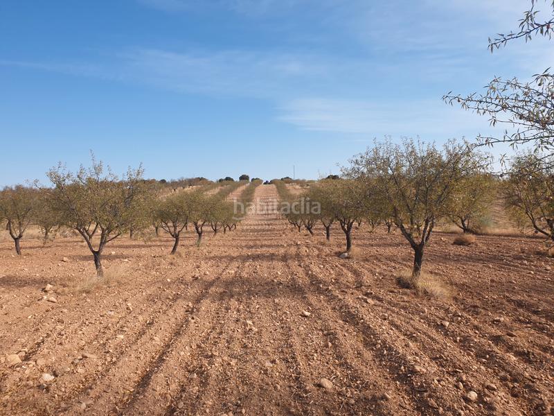 Foto 15f1e2c9-885d-489b-a4a9-fd4bff1b2c1a. Fondo rustico in n/a in Guadix