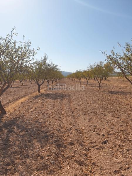 Foto 35808087-9a59-4fb6-b857-9e6aa0dbe0de. Fondo rustico in n/a in Guadix