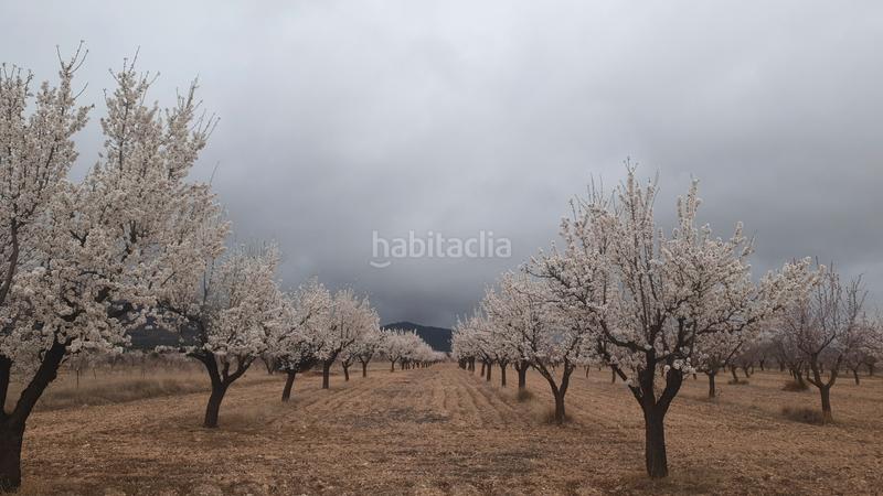 Foto 8fb12dd6-adf2-411e-a2e2-70433287a822. Fondo rustico in n/a in Guadix