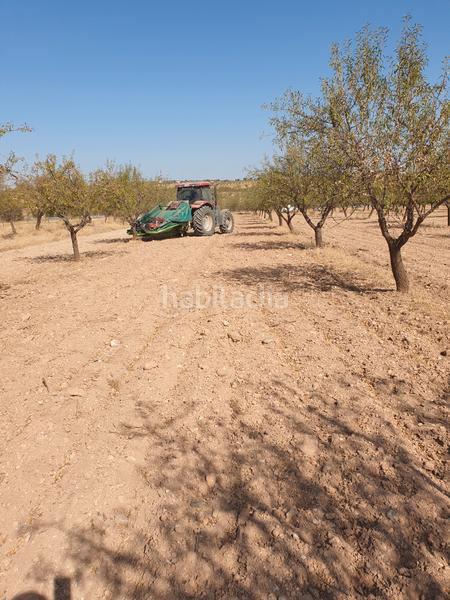 Foto ecf076d0-7460-415f-ab63-491d71dcbceb. Fondo rustico in n/a in Guadix