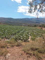 Finca r�stica en A-92r2 21. Venta de 3 hectareas tierra de cultivo en abrucena. almeria