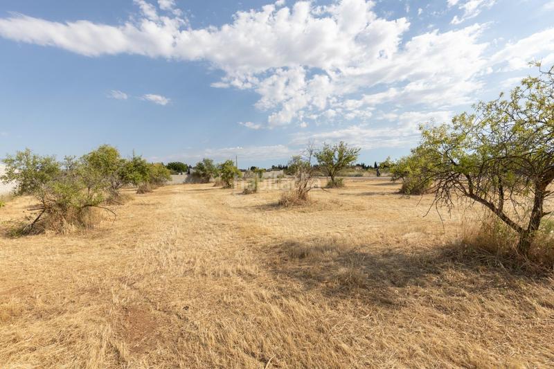 Foto 41c5dd86-a465-42a2-af6e-94a1acaa2b1d. Propriété dans Moraleda de Zafayona