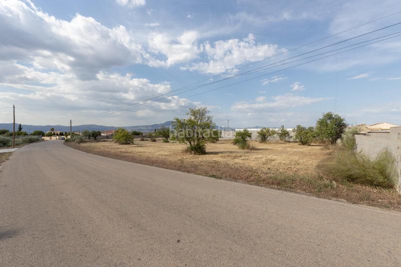 Foto b447bc7f-864d-4776-aed7-ef6965294e1c. Propriété dans Moraleda de Zafayona