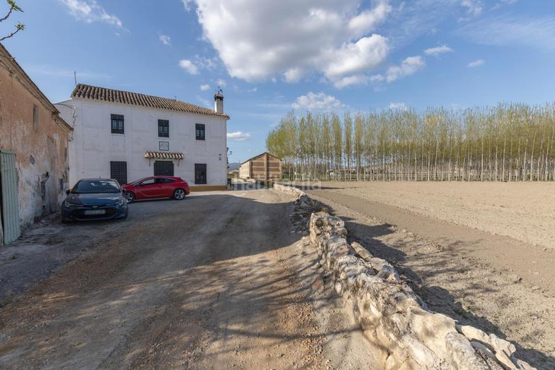 Foto 4039a32b-254d-48e6-82a6-2d90b5539ffe. Mas dans diseminada dans Pinos Puente