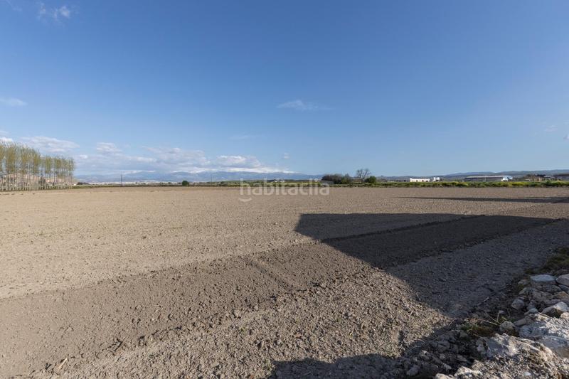 Foto 5b8ed0b2-1e3c-47a7-84db-a2c98655a10e. Masía en diseminada en Pinos Puente