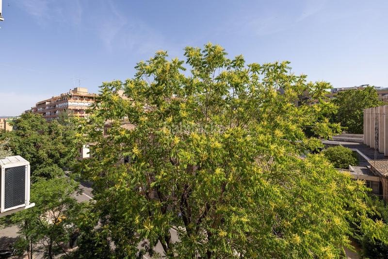 Foto 1cf066a3-37b0-439a-9acb-fdcb5a8567e4. Alquiler piso alquiler de larga temporada. no mascotas en Granada