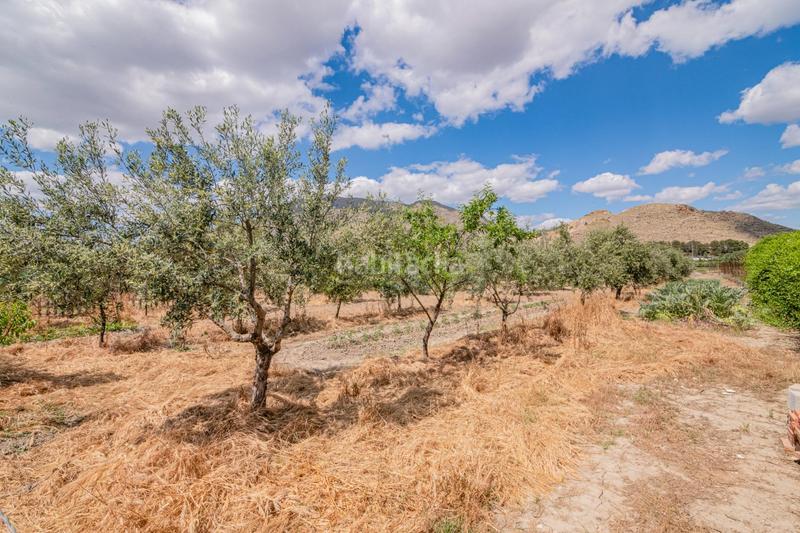 Foto 847a5fe6-c271-44c3-b089-0e83c00479f9. Casale in Pinos Puente