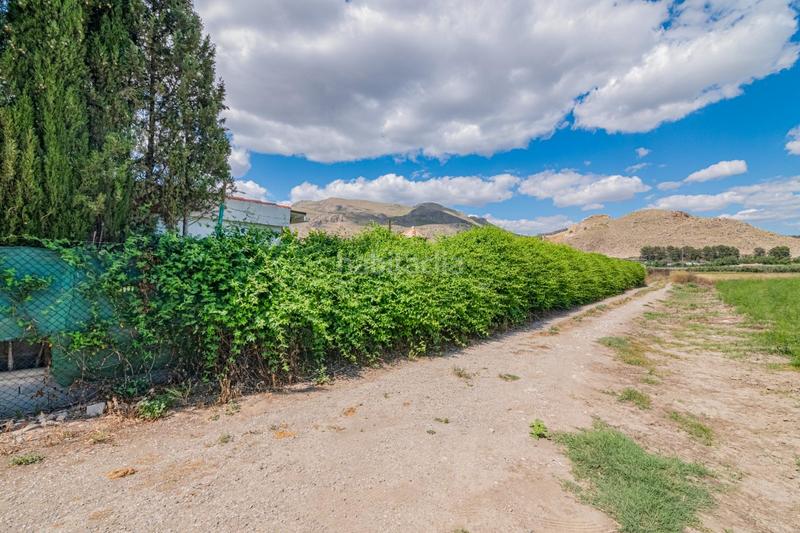 Foto 62c31b17-5f0a-493c-81bc-2aaf4d4a78de. Mas dans Pinos Puente