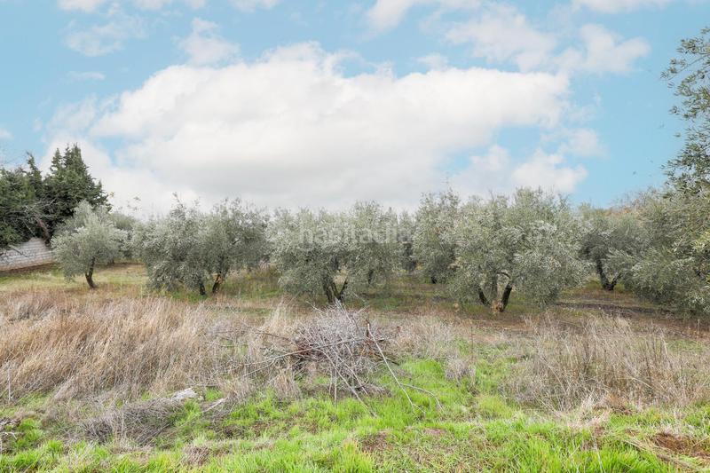 Foto 10367c7f-bf62-4abe-b7eb-c007ac67fd4a. Mas avec parking dans Gójar