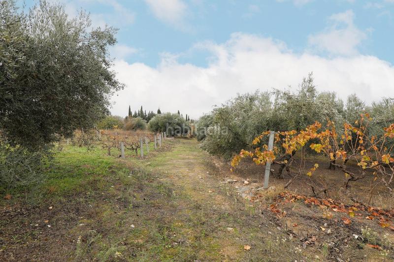 Foto 5a07cd2b-491e-42bf-b72e-b06edee00c3d. Mas avec parking dans Gójar