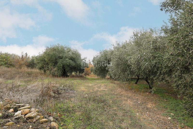 Foto ab82df44-201b-4acf-b6e6-34053af5ada4. Mas avec parking dans Gójar