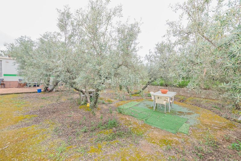 Foto 00be42e0-3344-454e-9e6f-b85bd7a15ed7. Finca rústica a Ogíjares