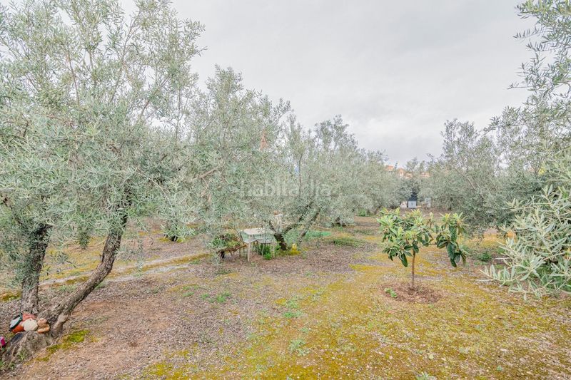 Foto 96121f79-c202-44e1-a4ae-35e91c7abe78. Finca rústica a Ogíjares