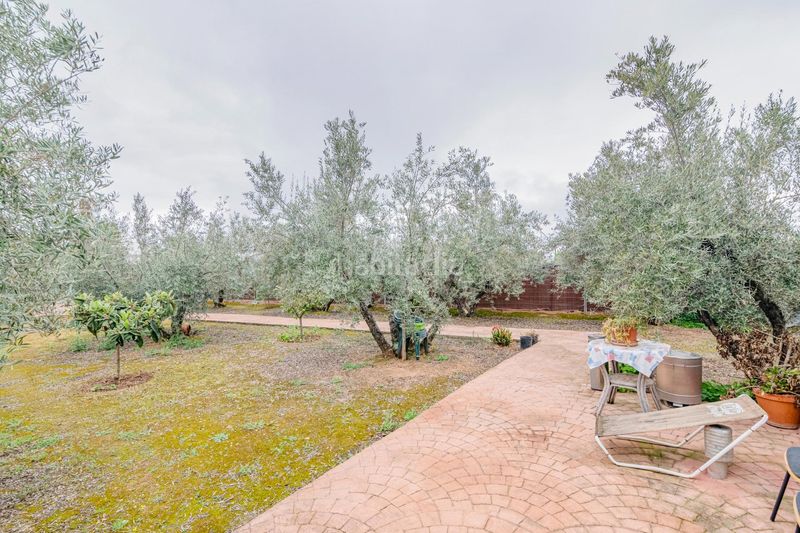 Foto a558a5e3-5935-415f-908b-e61066331174. Finca rústica a Ogíjares