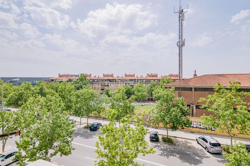Foto bfc5b950-22e9-4cbe-a529-15d2a2fe5221. Pis a Cartuja Granada