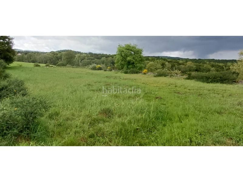 Foto c59b400e-a0af-423c-9971-ddb08a65a6ec. Finca rústica a Allariz
