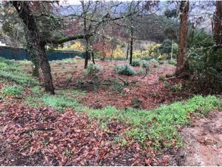 Residential Plot in San Rosendo