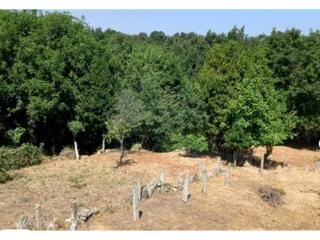 Casa a Bola (A). Casa en venta en a bola
