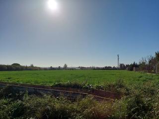 Finca rústica a Caballero Bonald-S. José Obrero-Guadalcacín. Terreno en venta