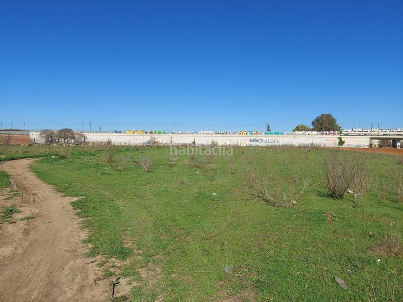 Foto f5a4052a-9726-4174-8233-1c103e5a6fbb. Finca rústica a Pozoalbero Jerez de la Frontera