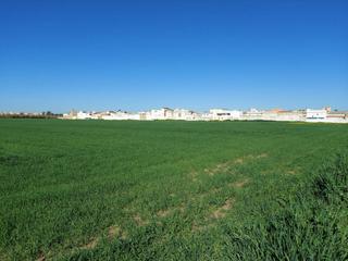 Finca rústica a Caballero Bonald-S. José Obrero-Guadalcacín. Terreno en venta