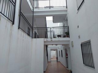 Pis en Bornos. Piso en venta en bornos